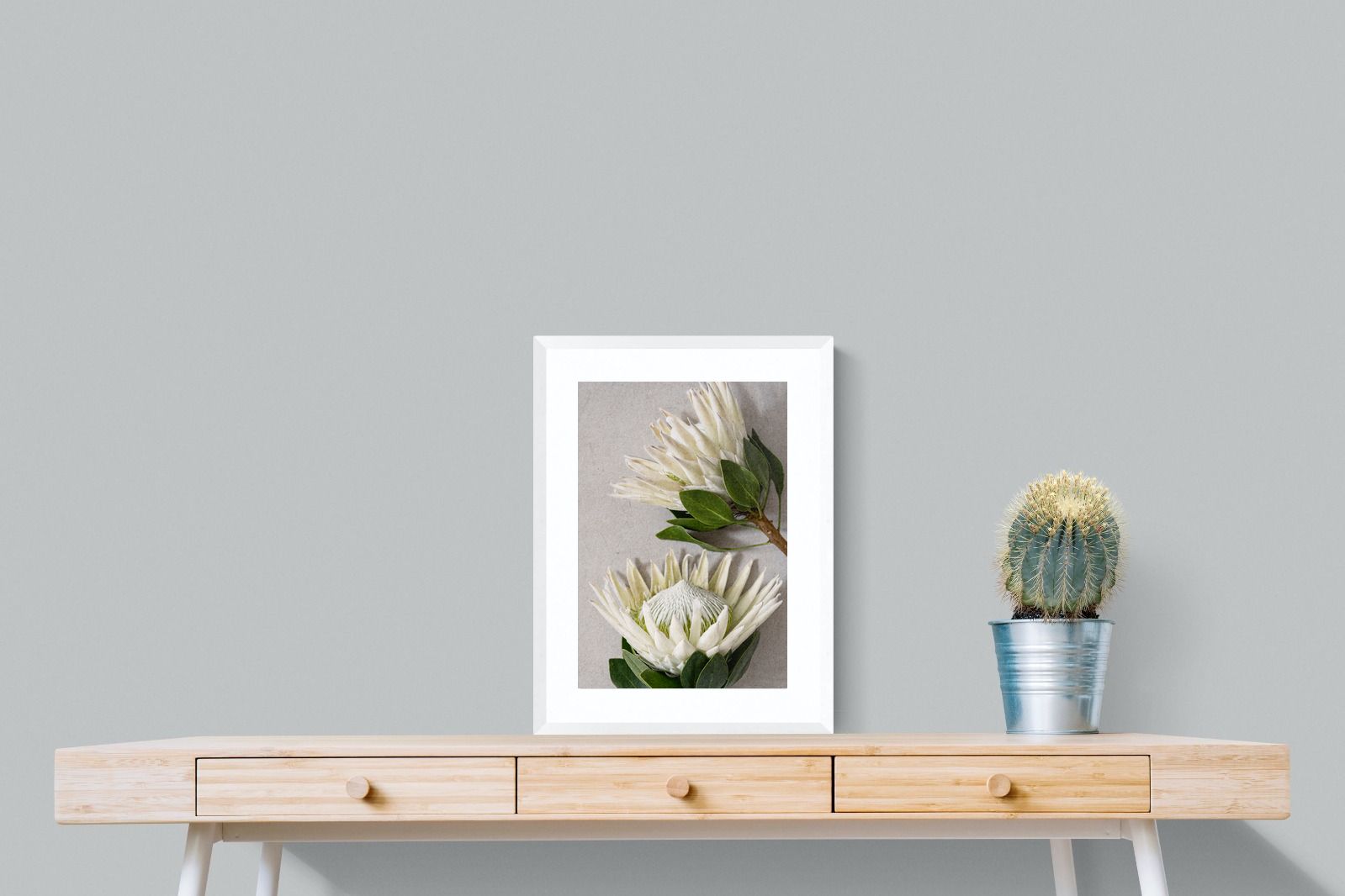 Pixalot White King Protea Duo