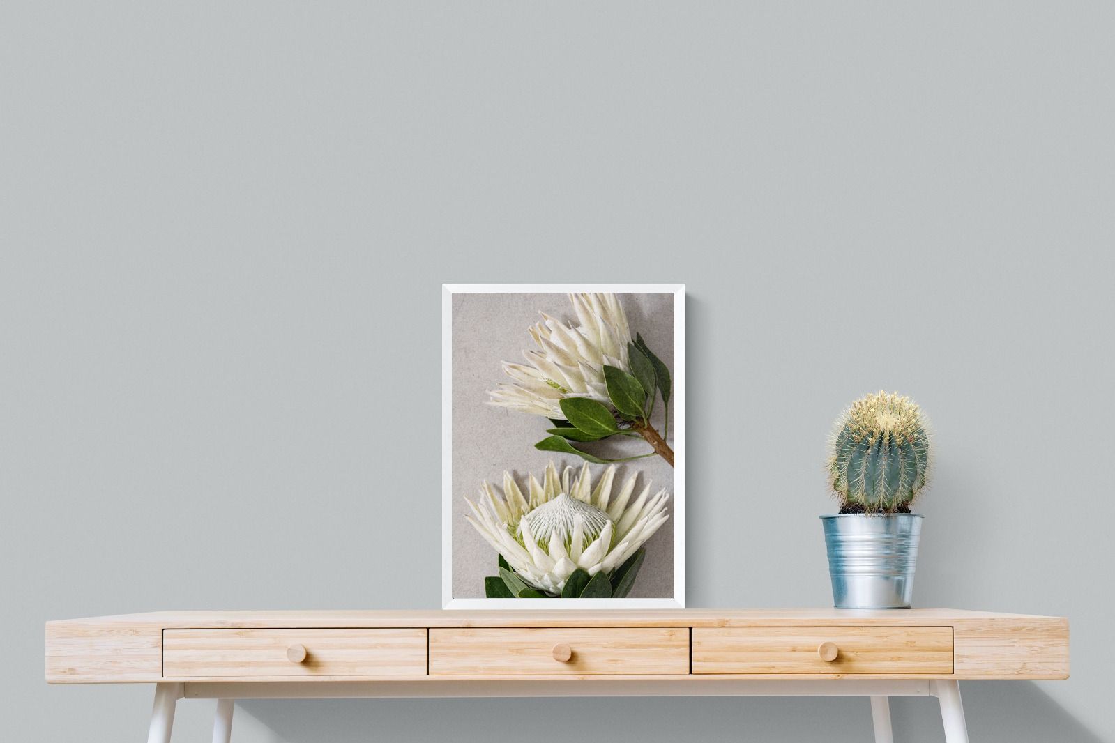 Pixalot White King Protea Duo