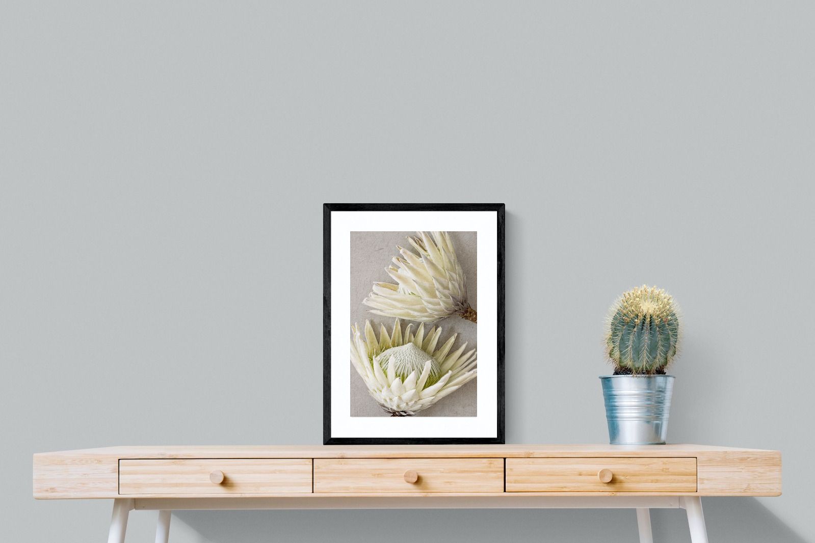 Pixalot White King Protea Pair