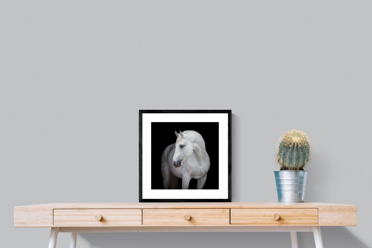 White Light-Wall_Art-50 x 50cm-Framed Print-Black-Pixalot