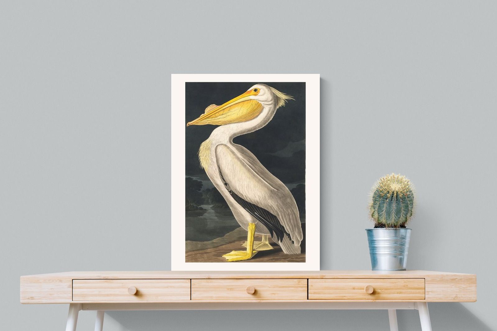 Pixalot White Pelican (Birds of America 1827)