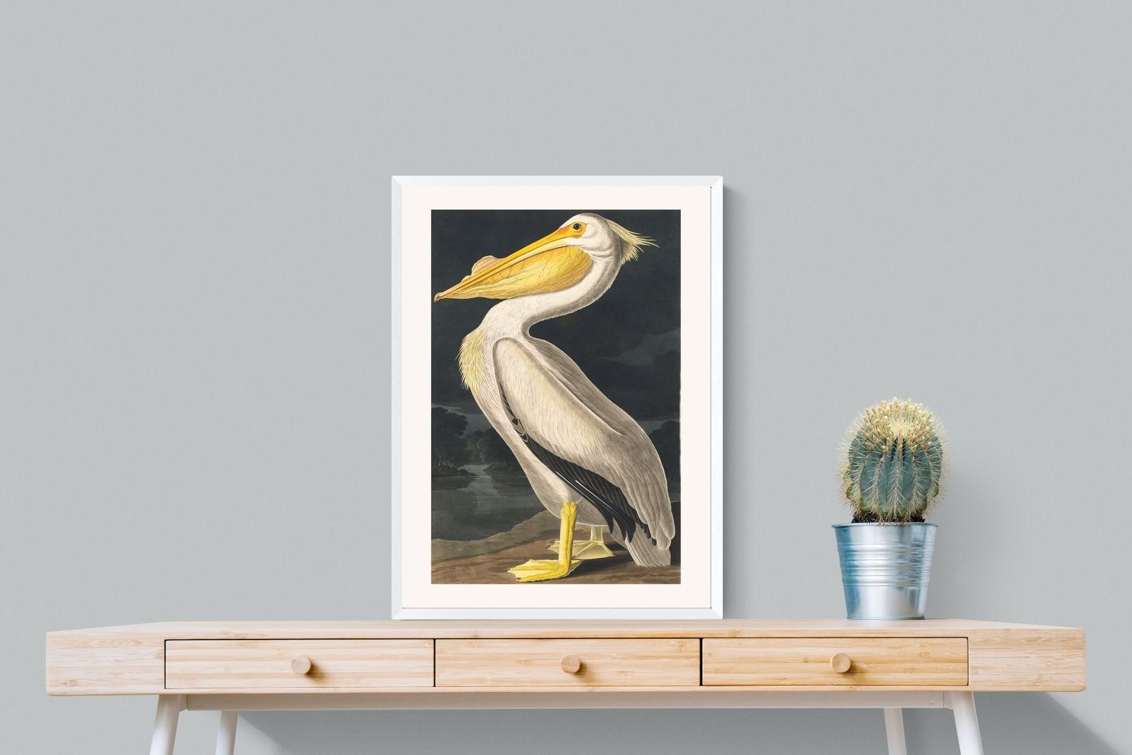 Pixalot White Pelican (Birds of America 1827)