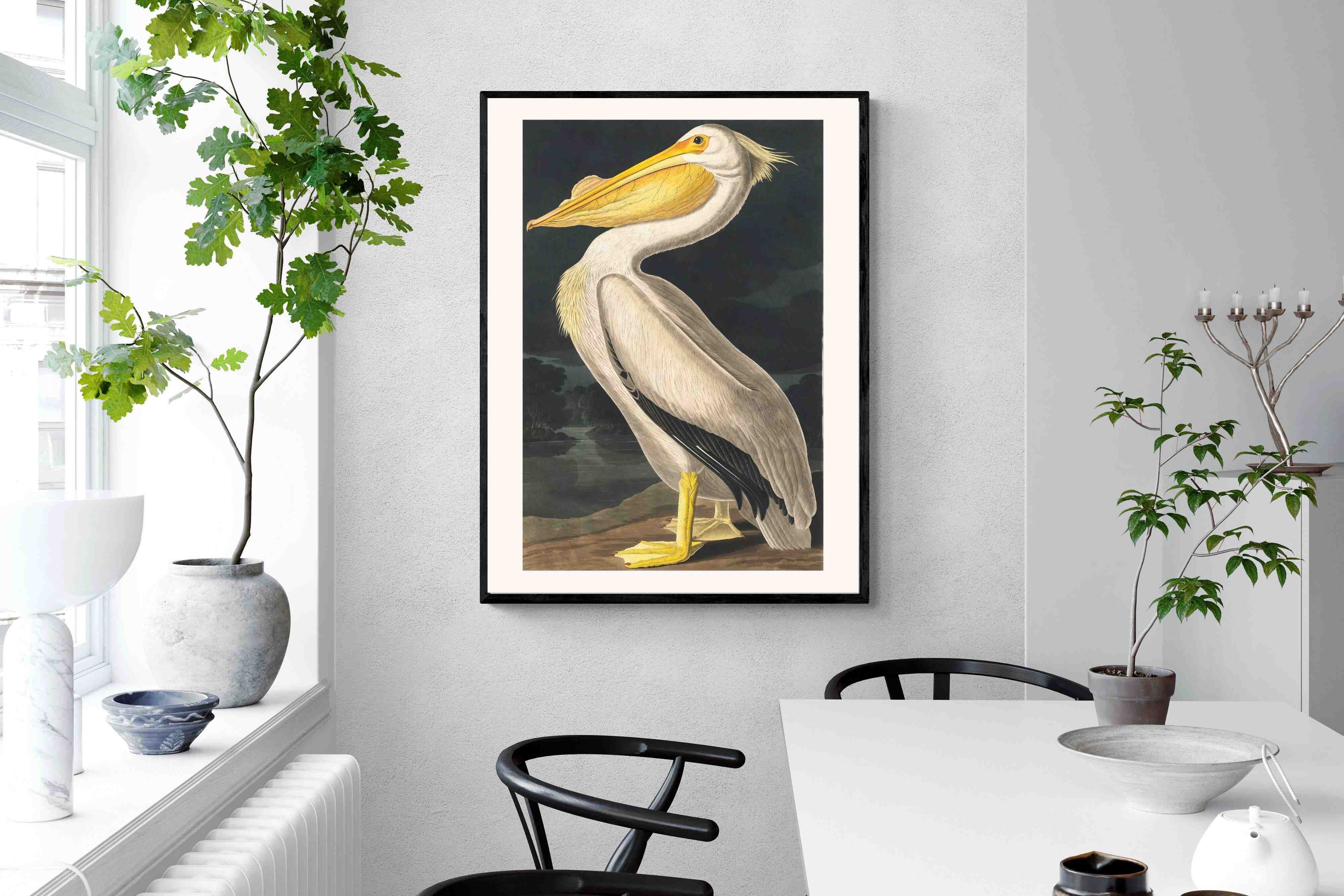 Pixalot White Pelican (Birds of America 1827)