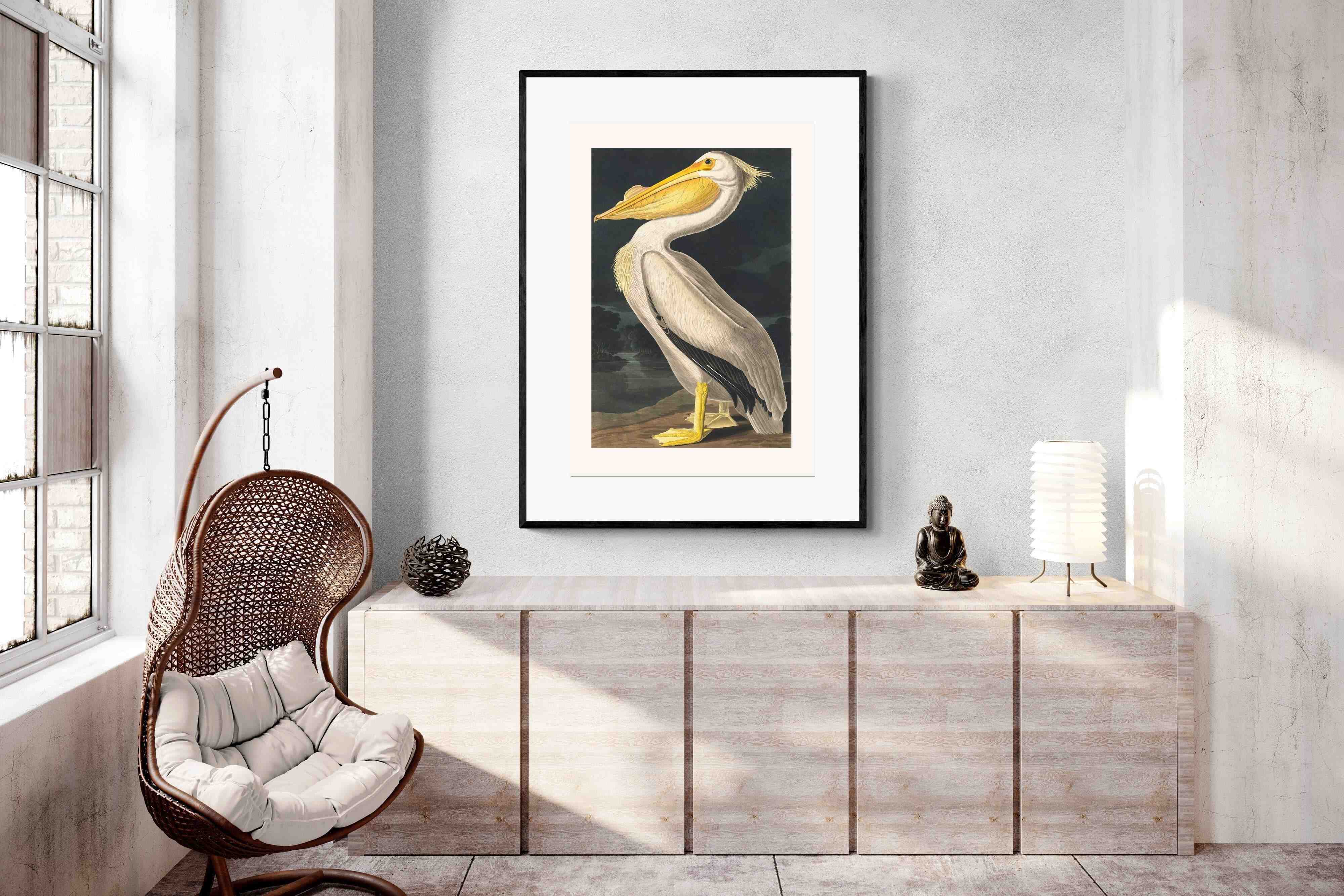 Pixalot White Pelican (Birds of America 1827)