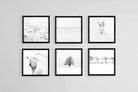 White Set-Wall_Art-40 x 40cm (x6)-Mounted Canvas-Black-Pixalot