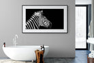 Zebra-Wall_Art-180 x 110cm-Framed Print-Black-Pixalot