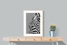 Zebra Sip-Wall_Art-60 x 80cm-Framed Print-Wood-Pixalot