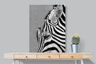 Zebra Sip-Wall_Art-75 x 100cm-Mounted Canvas-No Frame-Pixalot