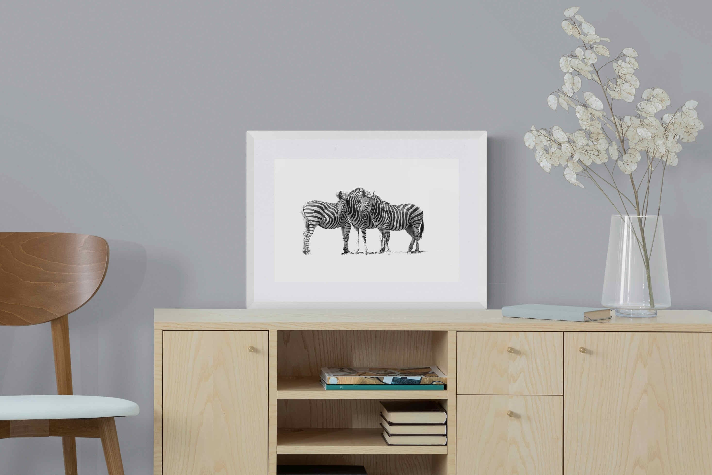 Zebra Trio-Wall_Art-60 x 45cm-Framed Print-White-Pixalot