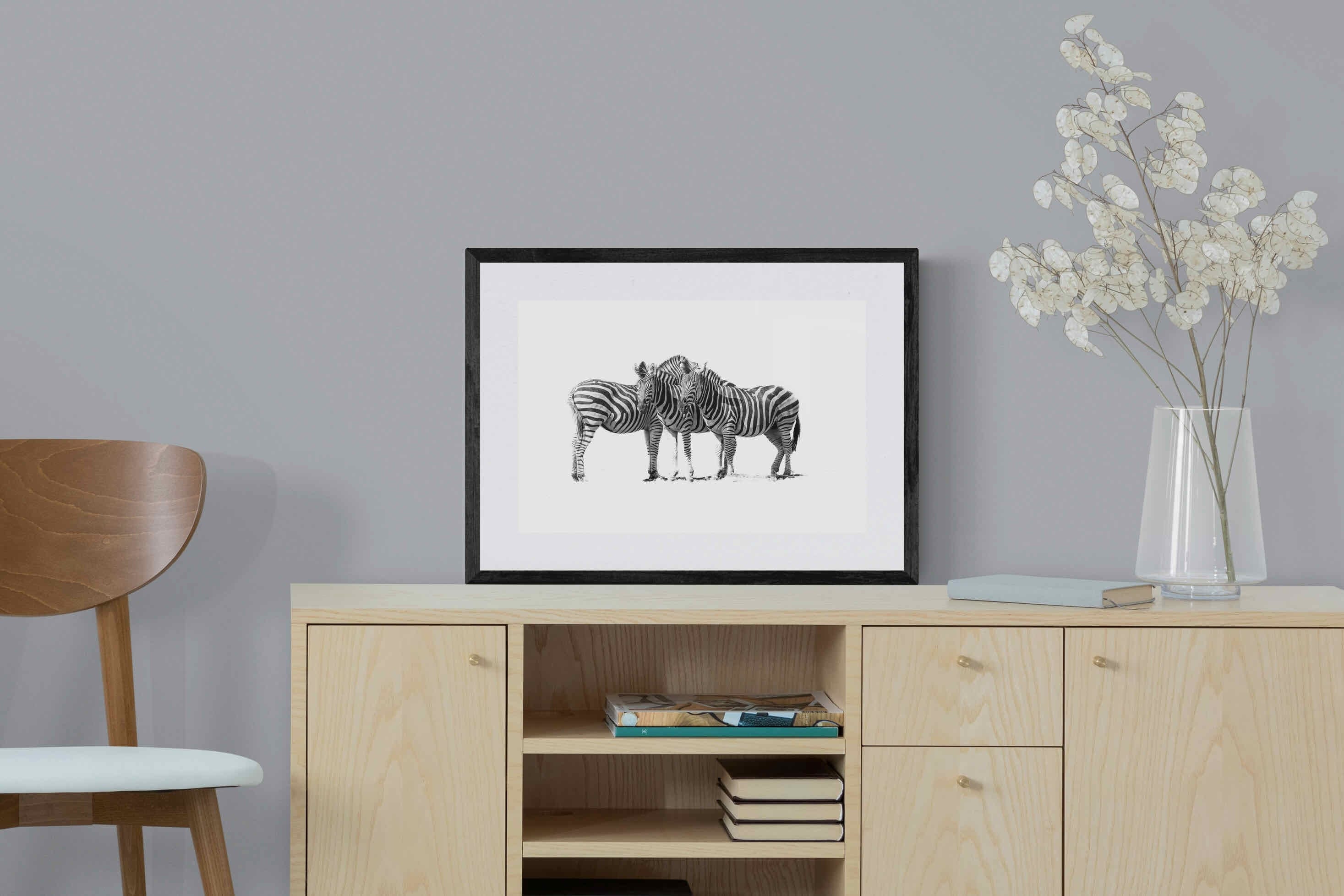 Zebra Trio-Wall_Art-60 x 45cm-Framed Print-Black-Pixalot