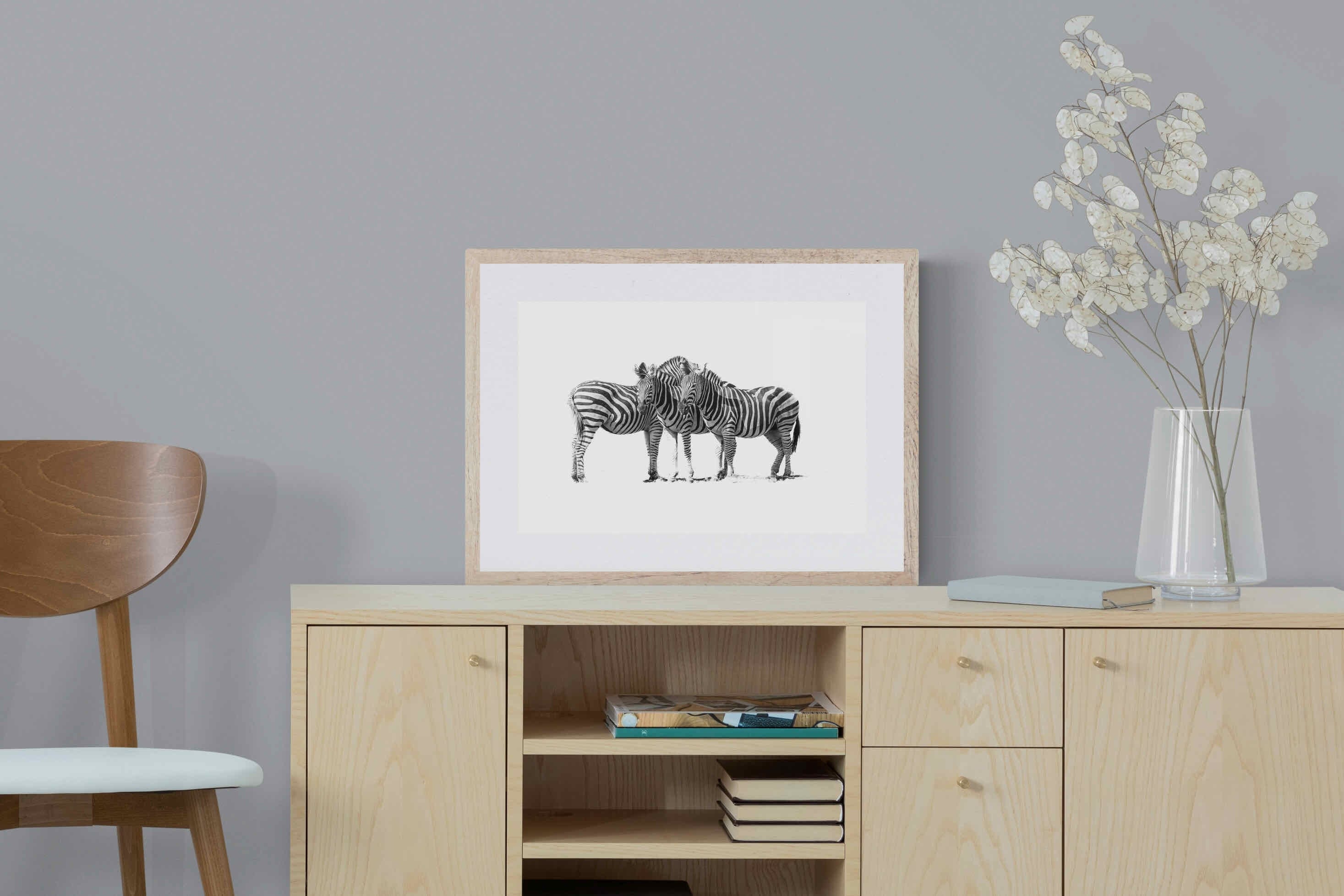 Zebra Trio-Wall_Art-60 x 45cm-Framed Print-Wood-Pixalot