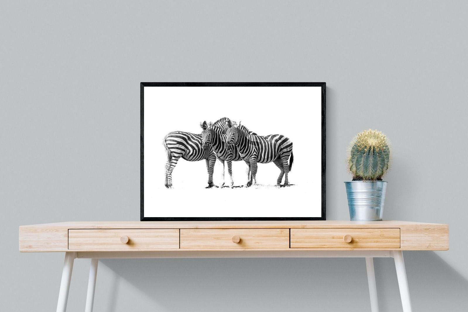 Zebra Trio-Wall_Art-80 x 60cm-Mounted Canvas-Black-Pixalot