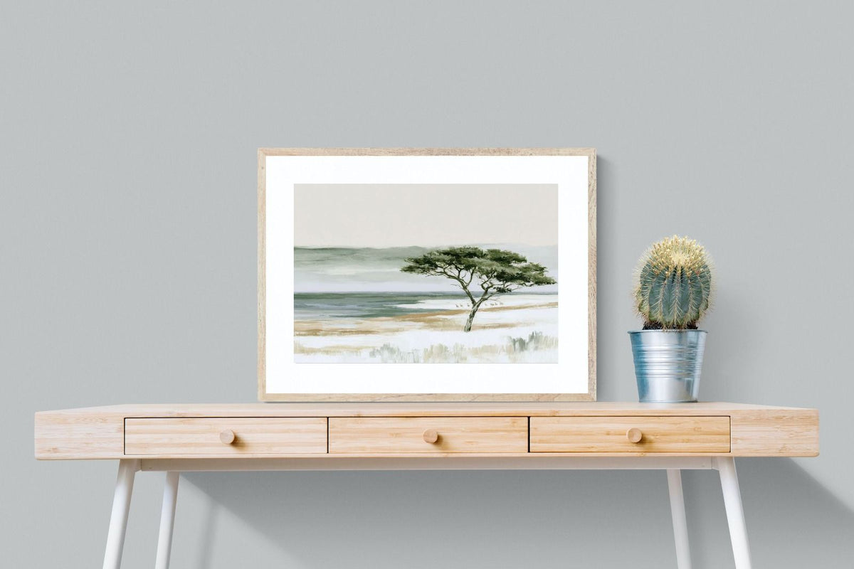 Pixalot ® Acacia By The Water