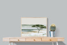 Pixalot ® Acacia By The Water