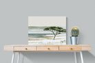 Pixalot ® Acacia By The Water