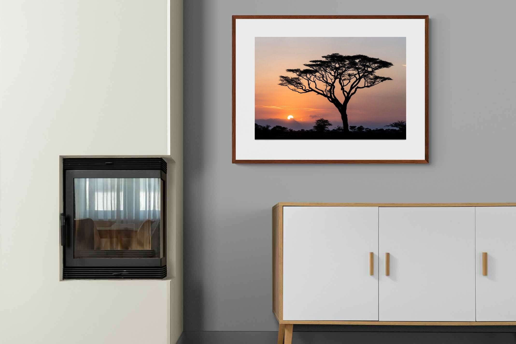 Pixalot ® Acacia Sunset