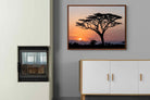 Pixalot ® Acacia Sunset