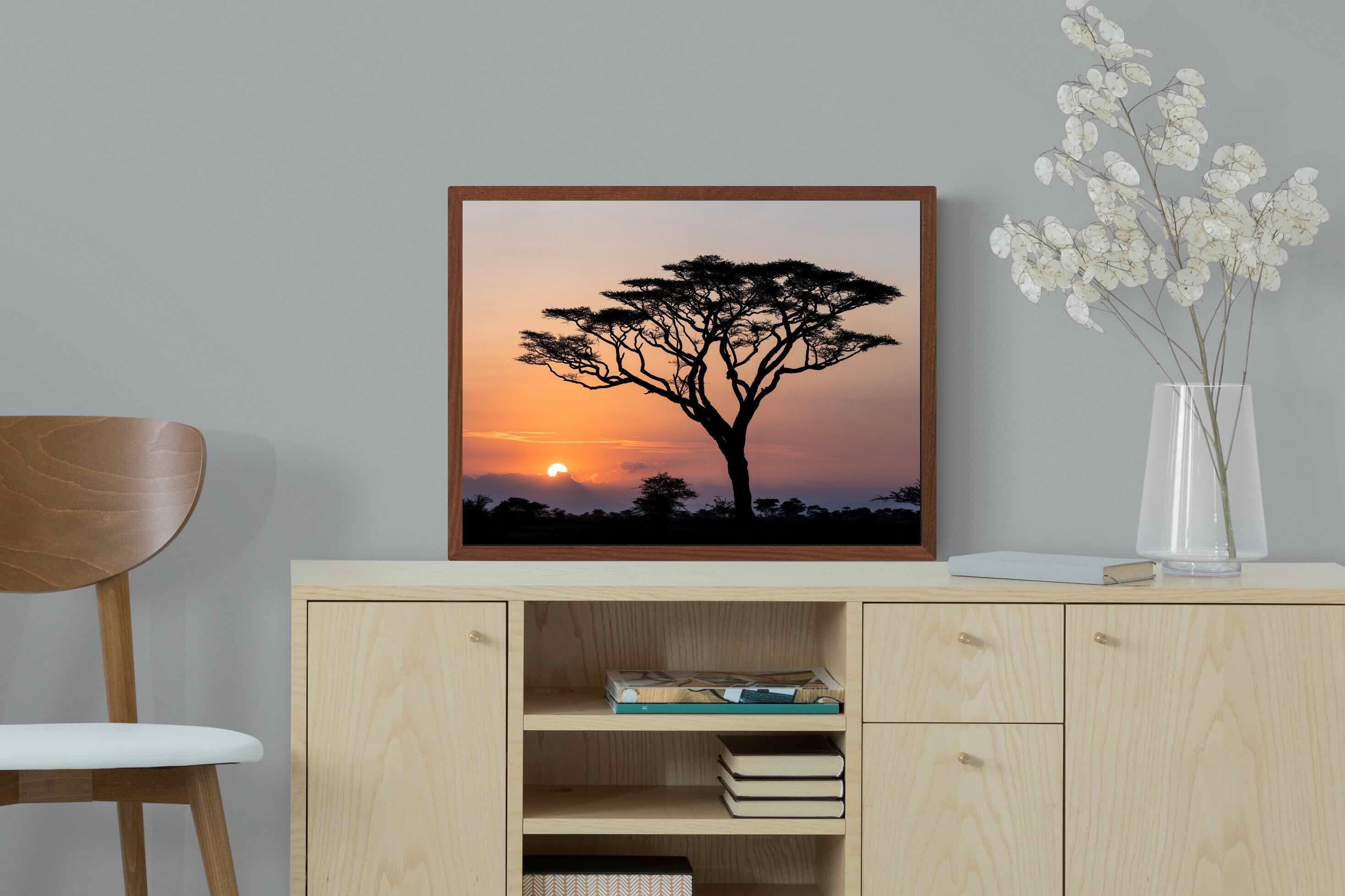 Pixalot ® Acacia Sunset
