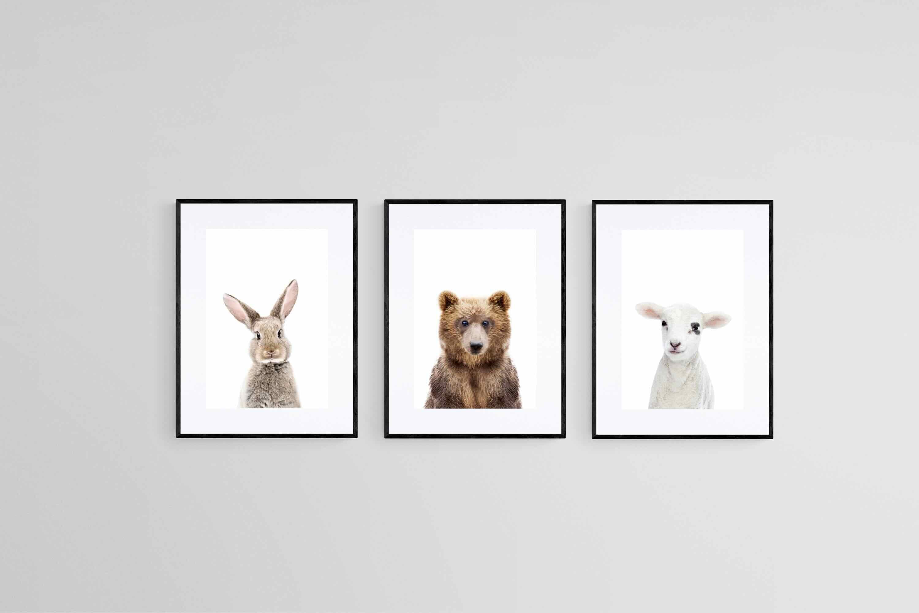 Adorable Trio Set-Wall_Art-45 x 60cm (x3)-Framed Print-Black-Pixalot