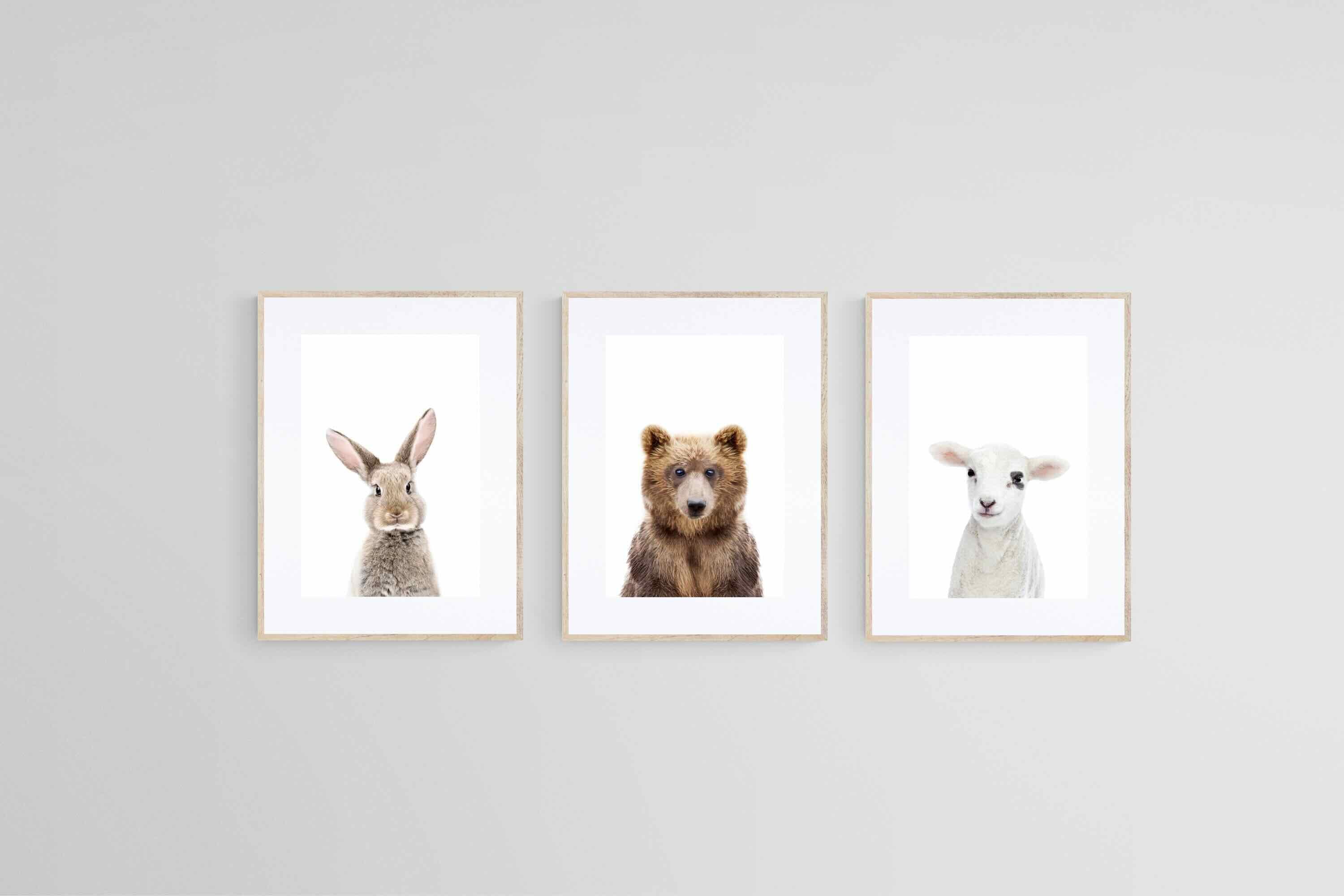 Adorable Trio Set-Wall_Art-45 x 60cm (x3)-Framed Print-Wood-Pixalot