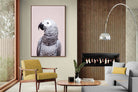 Pixalot African Grey