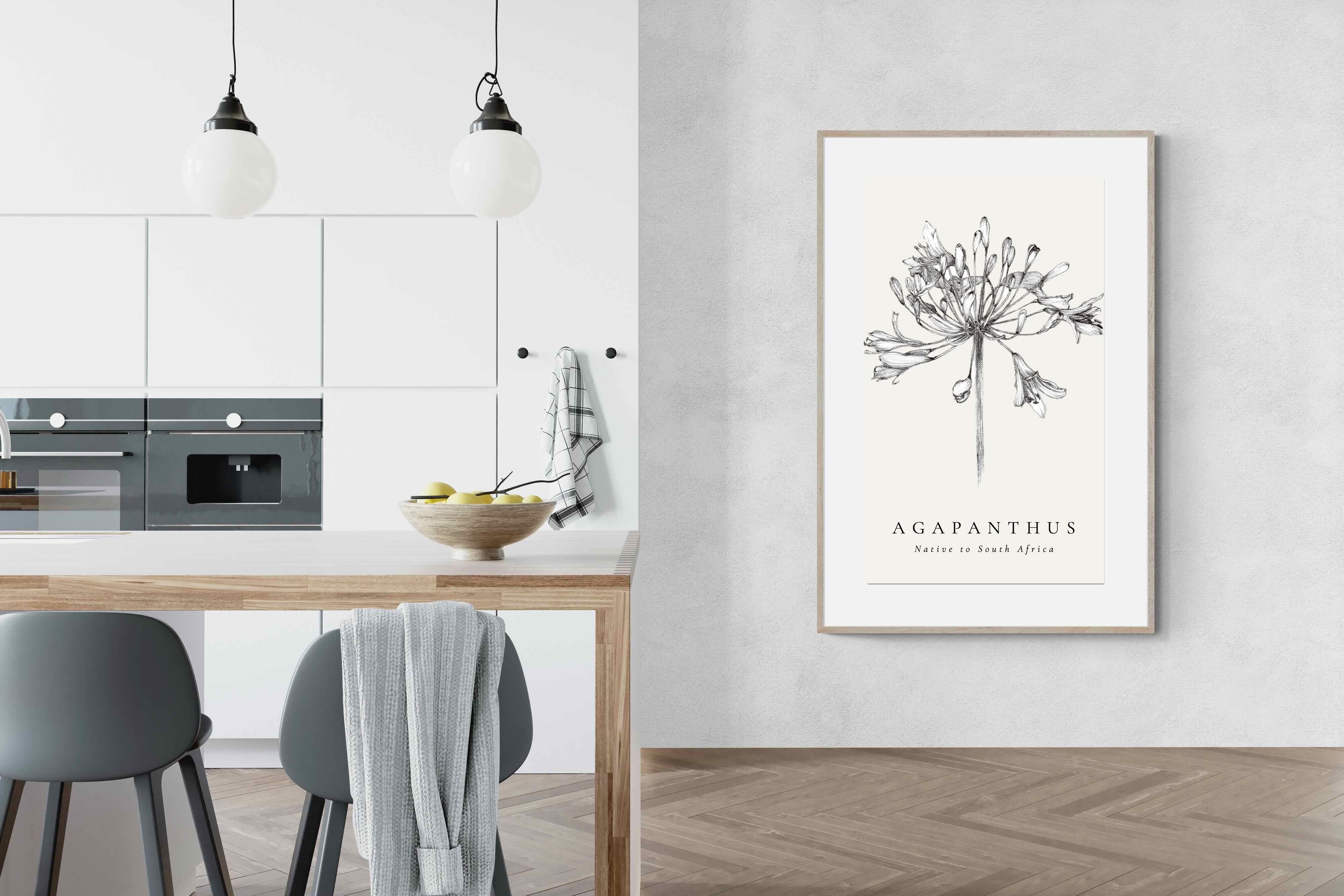 Pixalot ® Agapanthus Illustration
