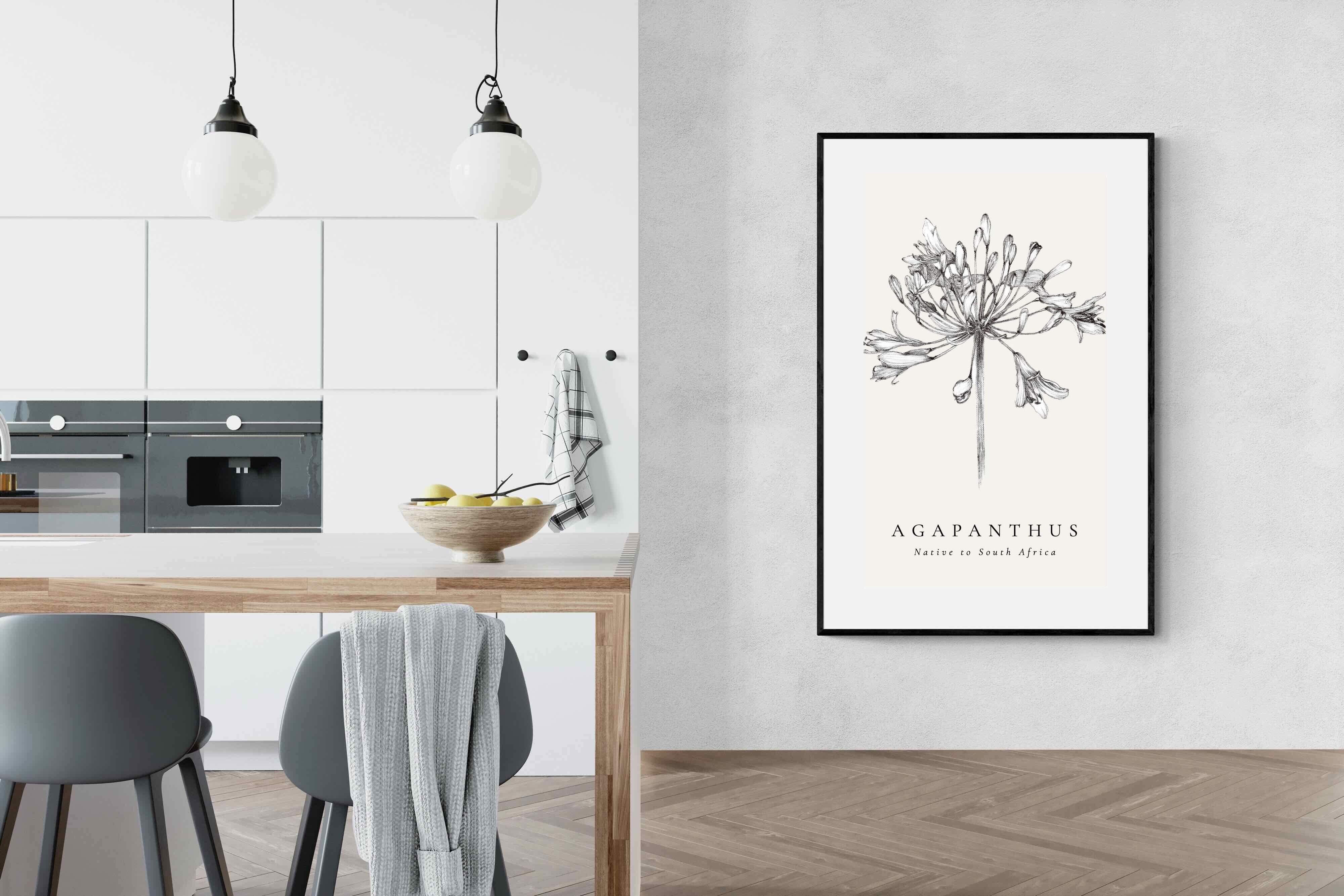Pixalot ® Agapanthus Illustration