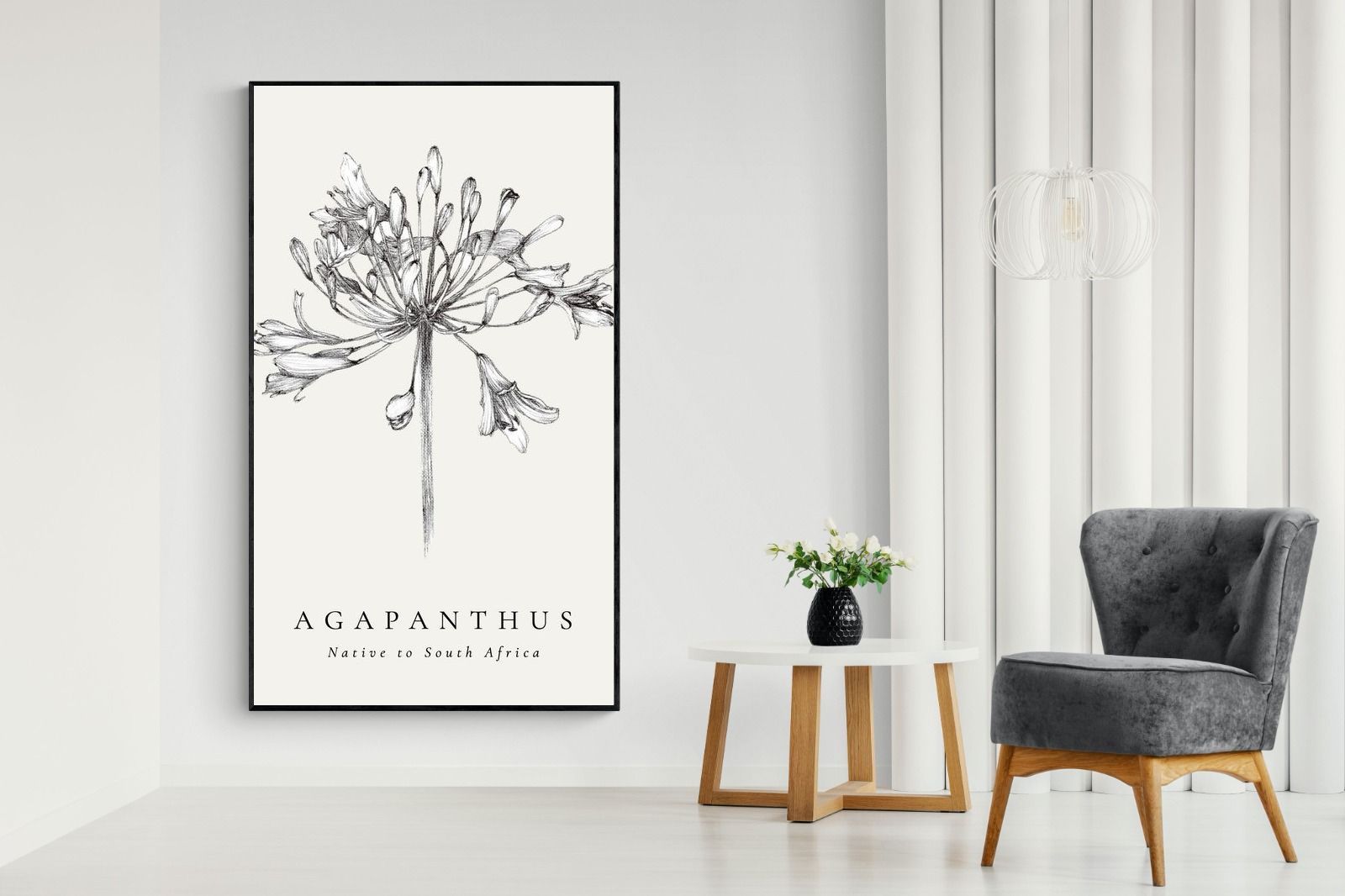 Pixalot ® Agapanthus Illustration