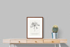 Pixalot ® Agapanthus Illustration