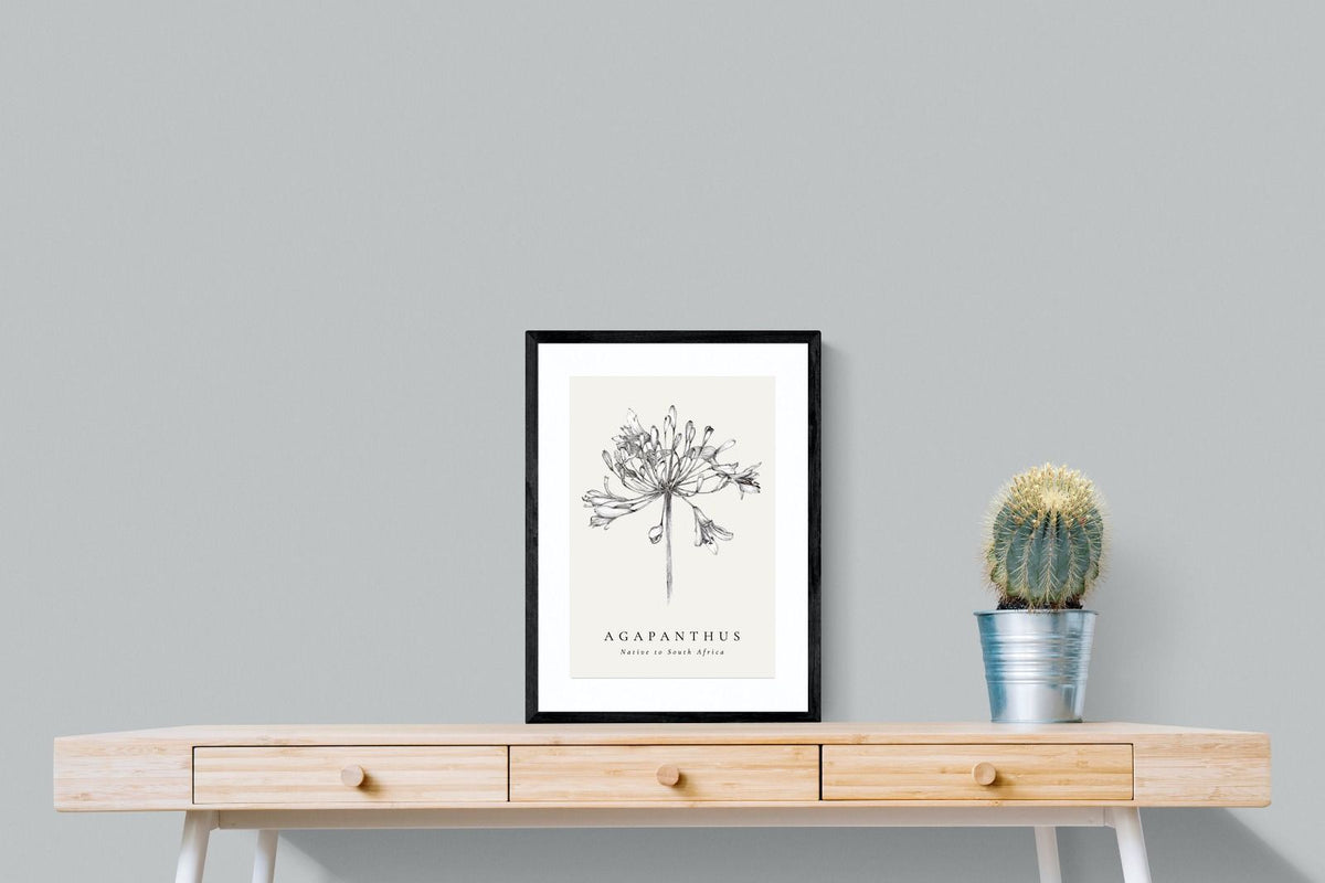 Pixalot ® Agapanthus Illustration
