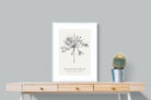 Pixalot ® Agapanthus Illustration