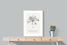 Pixalot ® Agapanthus Illustration