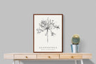 Pixalot ® Agapanthus Illustration