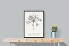 Pixalot ® Agapanthus Illustration