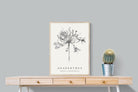 Pixalot ® Agapanthus Illustration
