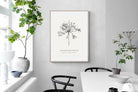 Pixalot ® Agapanthus Illustration