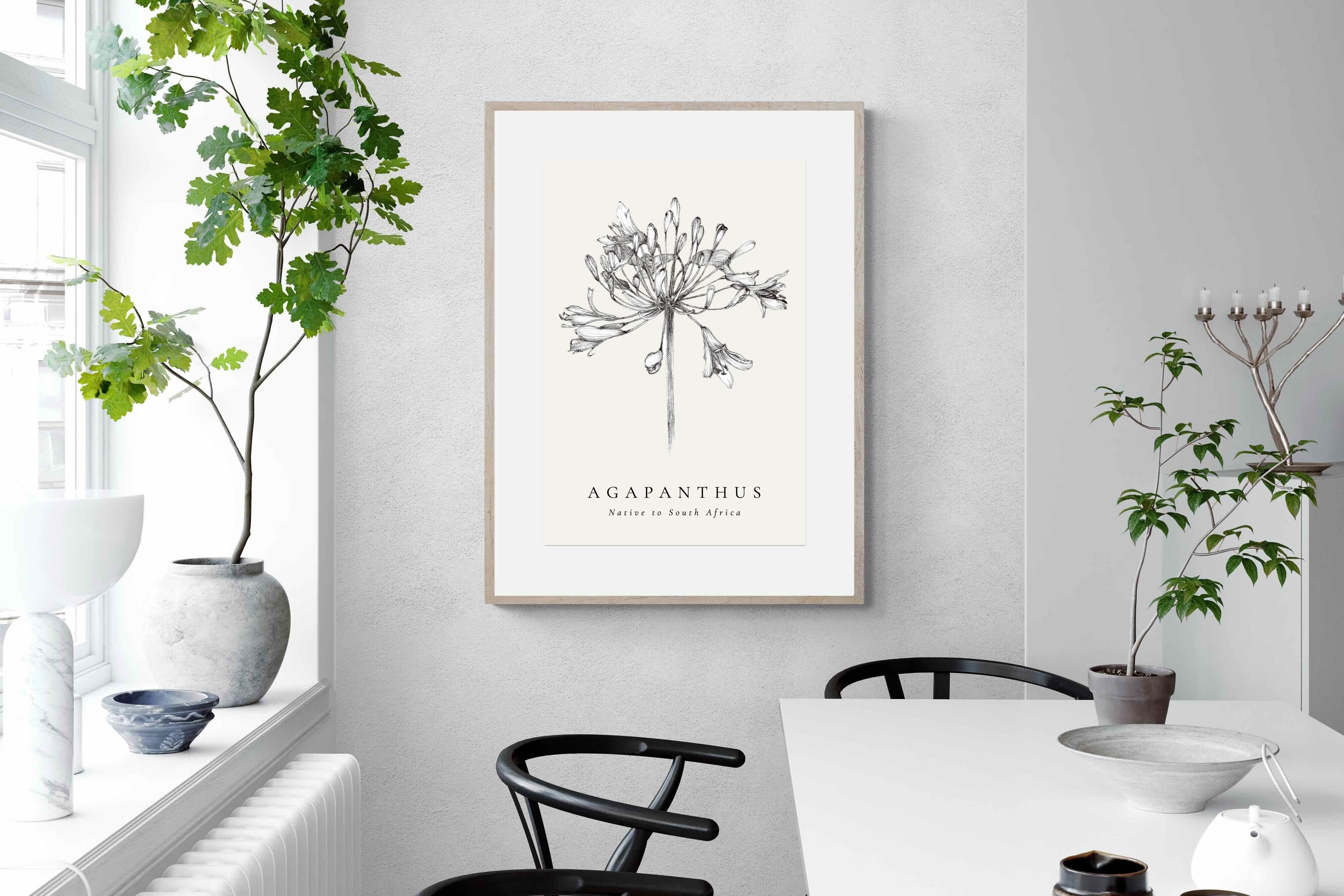 Pixalot ® Agapanthus Illustration