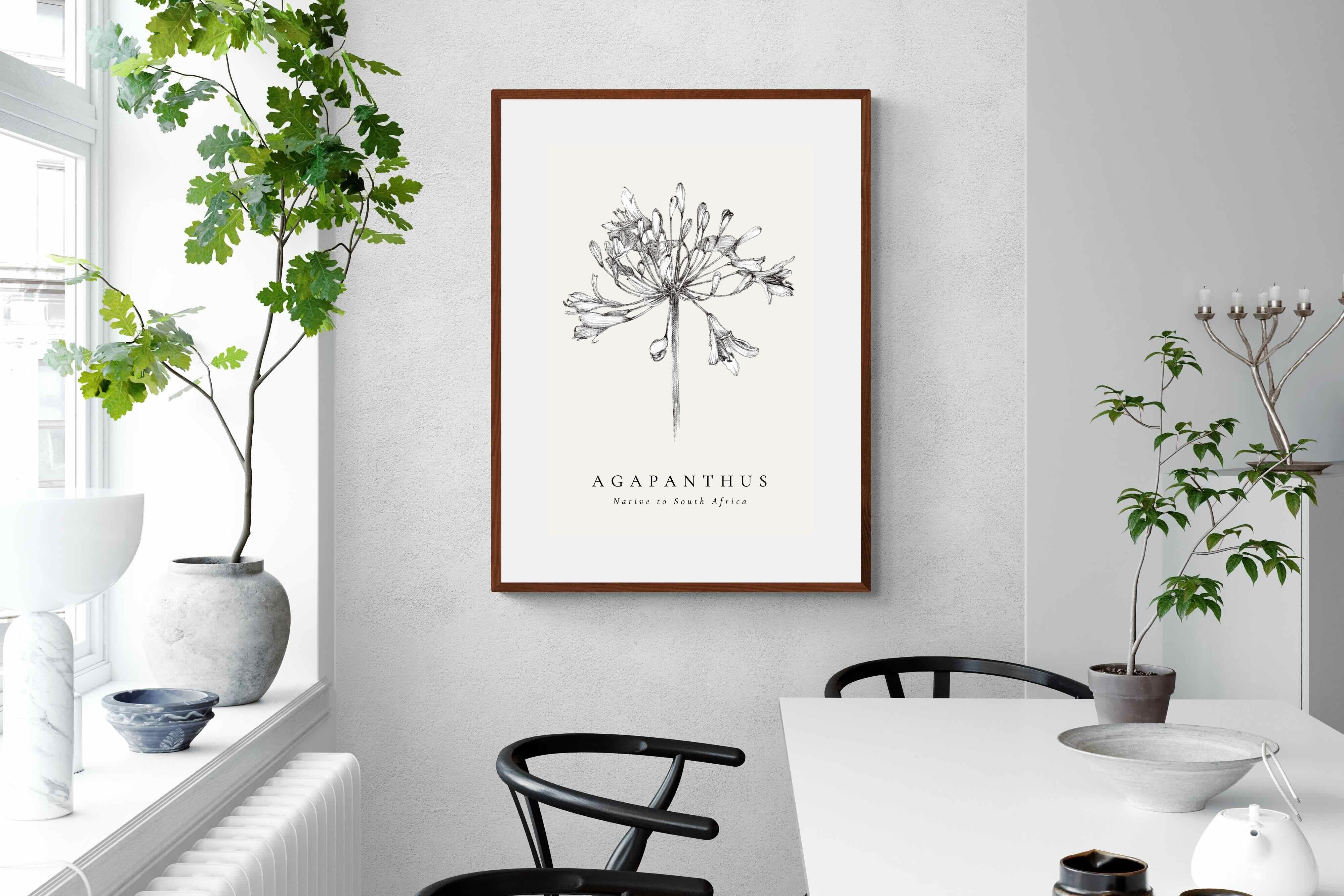 Pixalot ® Agapanthus Illustration