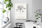 Pixalot ® Agapanthus Illustration