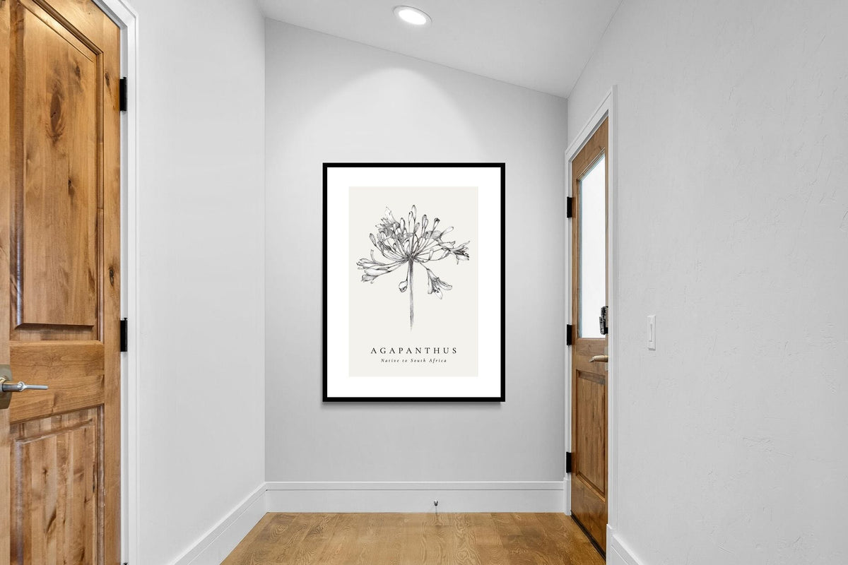 Pixalot ® Agapanthus Illustration