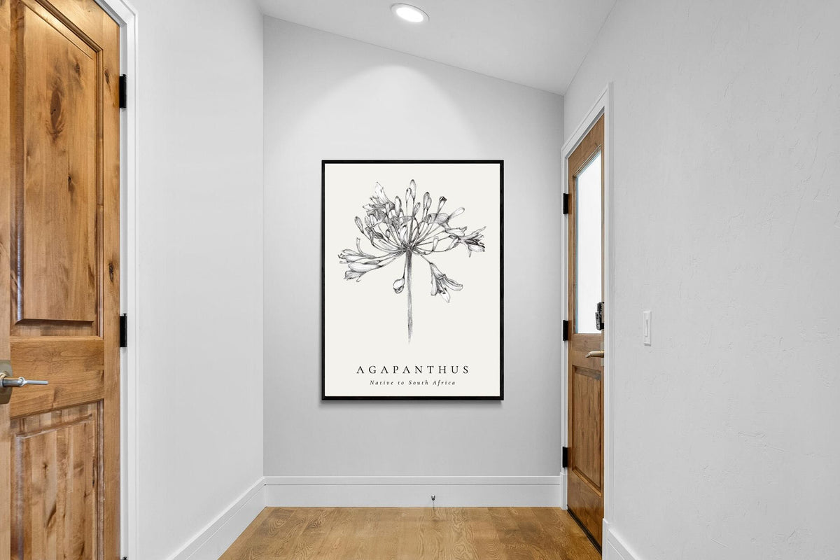 Pixalot ® Agapanthus Illustration