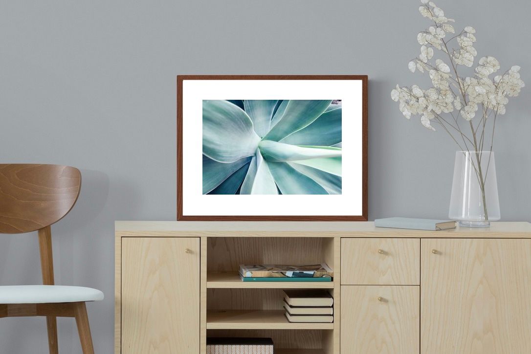 Pixalot ® Agave
