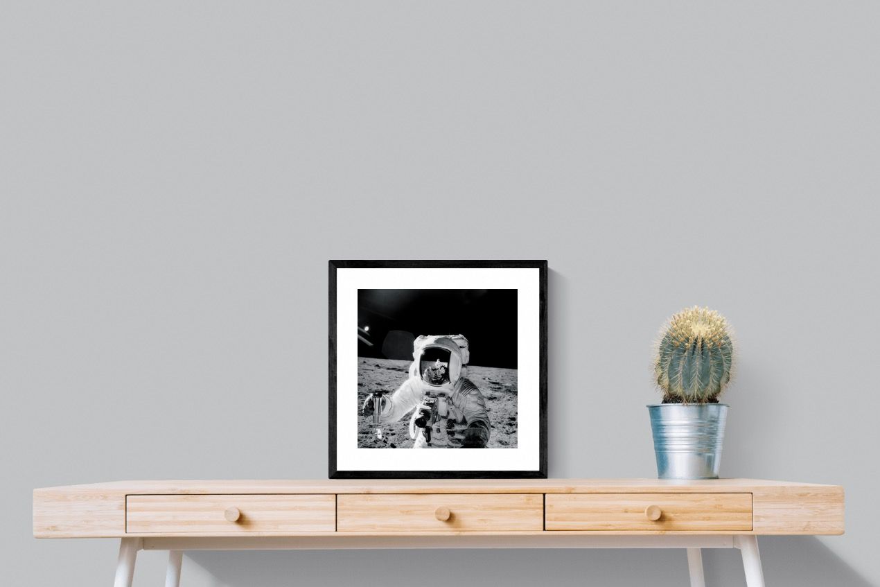 Pixalot Alan Bean