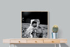 Pixalot Alan Bean