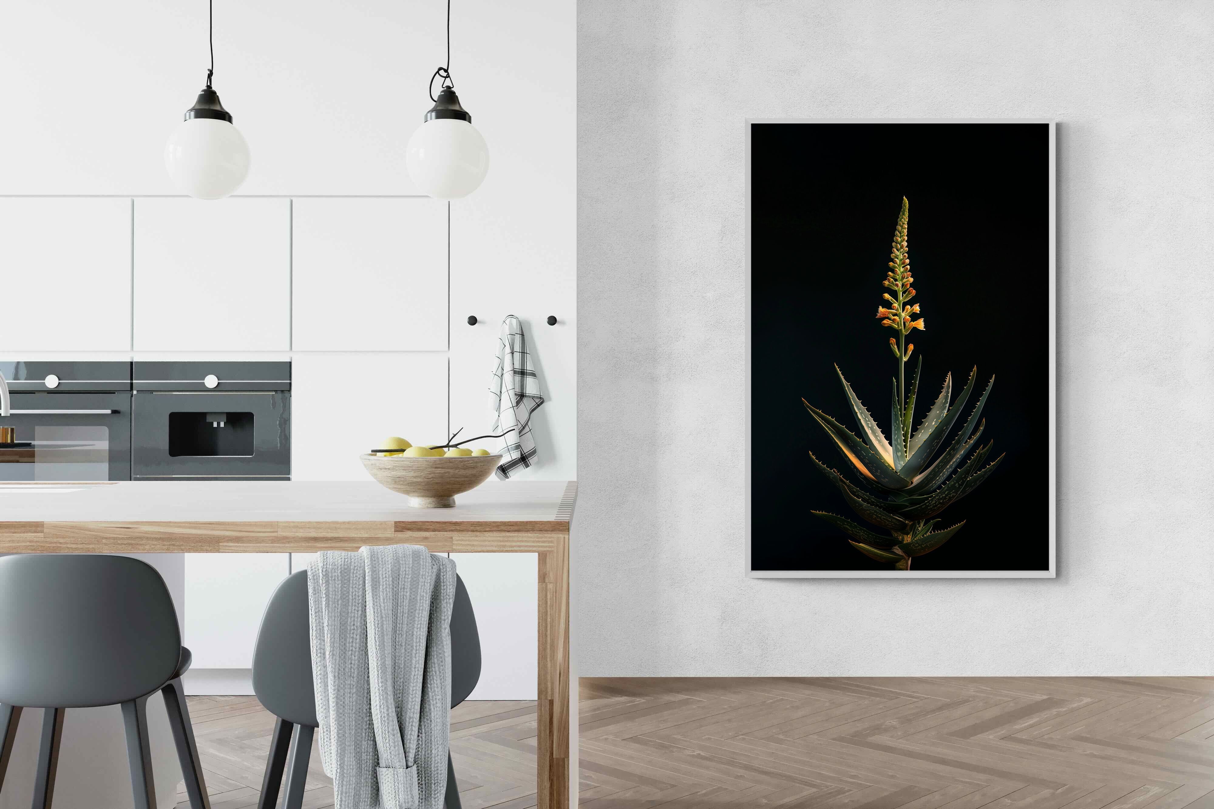 Pixalot Aloe Ascension