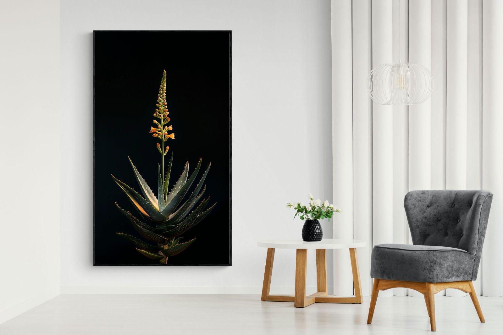 Pixalot Aloe Ascension