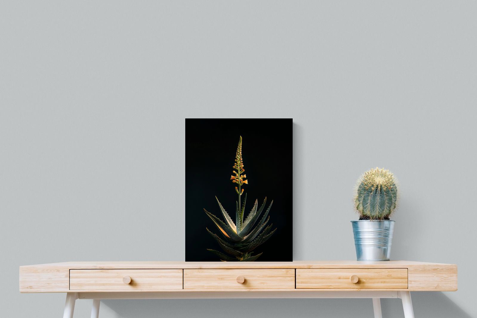 Pixalot Aloe Ascension