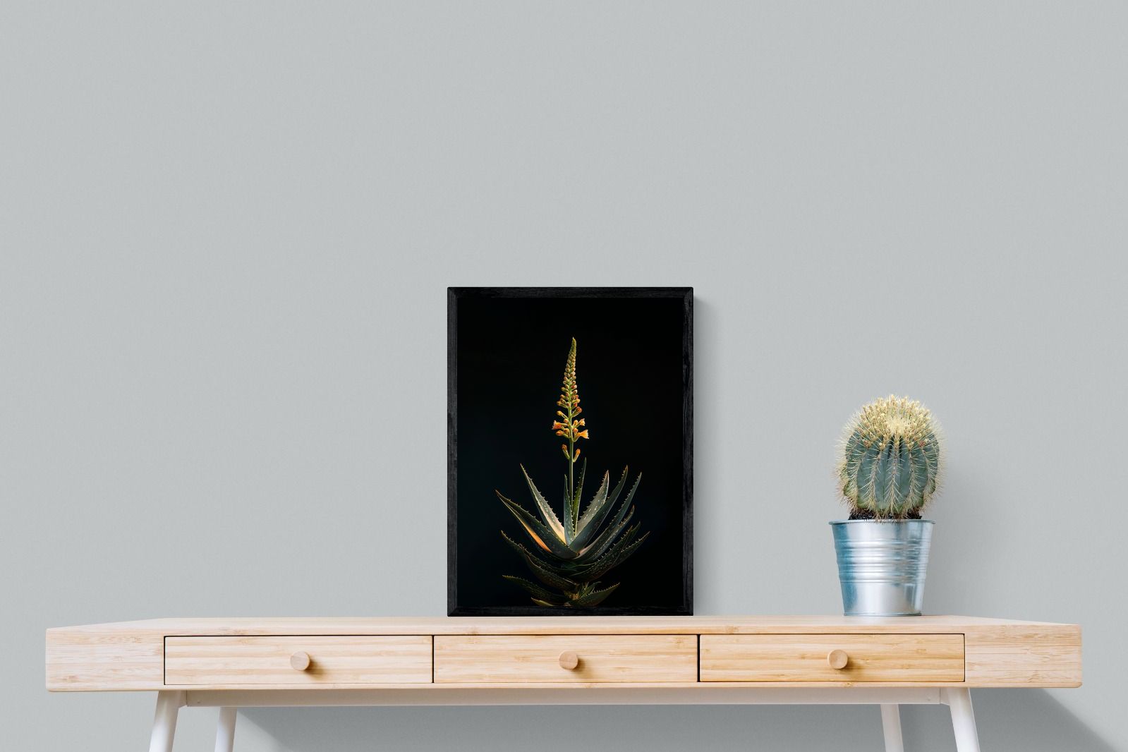 Pixalot Aloe Ascension