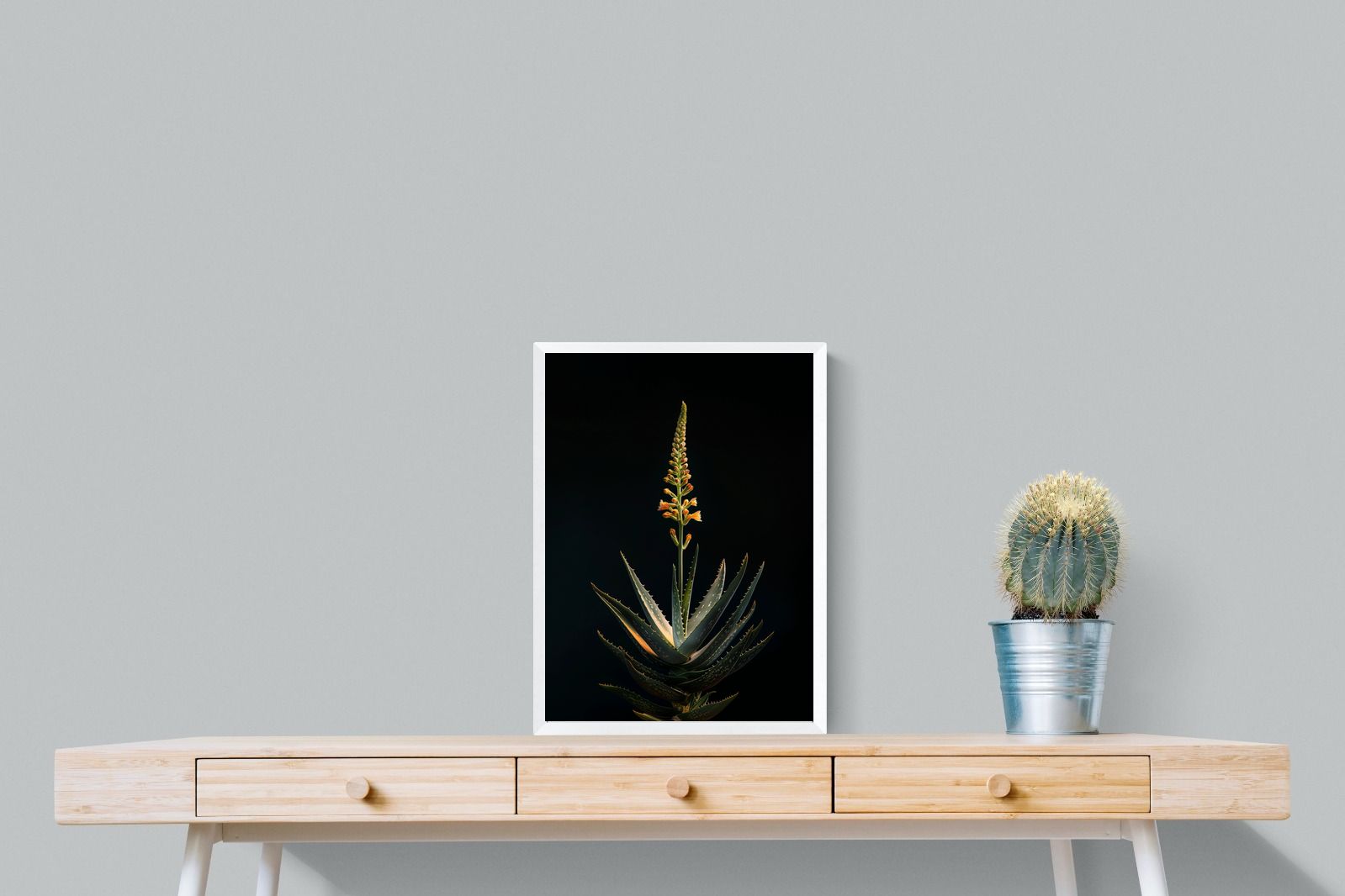 Pixalot Aloe Ascension