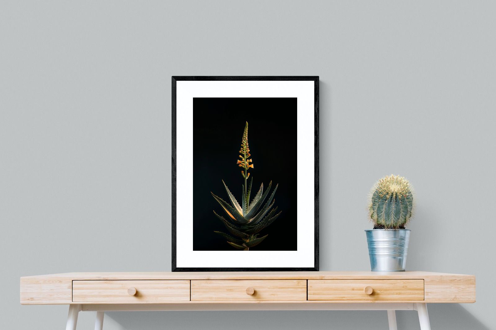 Pixalot Aloe Ascension